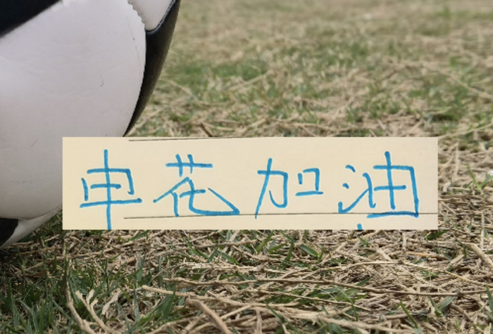 世界杯小组排名-如果没有罚分的话！申花应该是夺冠热门|上海申花|联赛|成都|中超|上海申花足球俱乐部_新浪体育_新浪新闻